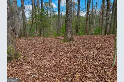 739 Hiawassee Court, Ellijay, GA 30540 - Photo 24