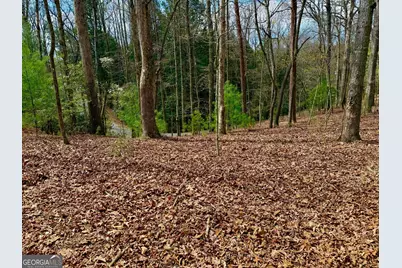 739 Hiawassee Court, Ellijay, GA 30540 - Photo 20
