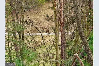 739 Hiawassee Court, Ellijay, GA 30540 - Photo 26