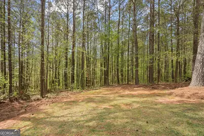 115 Nugget Road, Carrollton, GA 30117 - Photo 6