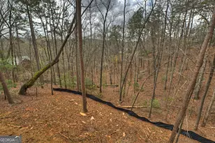 962 Maggie Chapman Rd, Cherrylog, GA 30522 - Photo 24