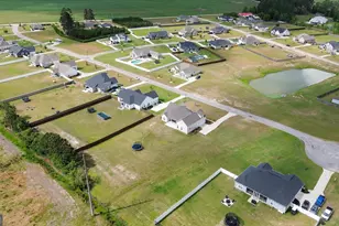 320 Firethorne Dr, Brooklet, GA 30415 - Photo 58