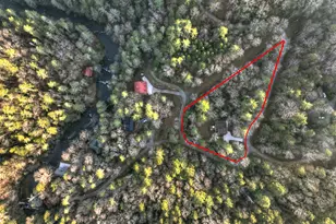 764 Ducktown Ln, Ellijay, GA 30540 - Photo 52