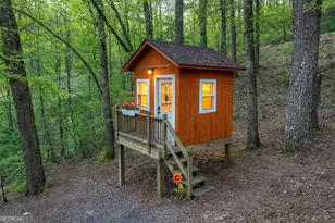 764 Ducktown Ln, Ellijay, GA 30540 - Photo 4