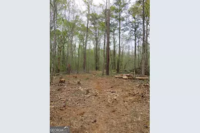 0 Oak Road, Jenkinsburg, GA 30234 - Photo 10