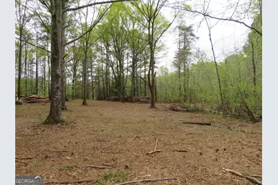 0 Oak Road, Jenkinsburg, GA 30234 - Photo 6