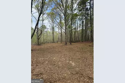 0 Oak Road, Jenkinsburg, GA 30234 - Photo 14