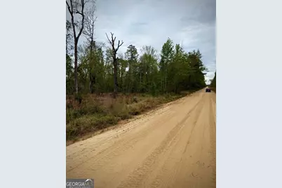 1310 Outlaw Grove Way, Soperton, GA 30457 - Photo 10