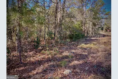 1310 Outlaw Grove Way, Soperton, GA 30457 - Photo 2