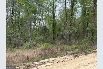 1310 Outlaw Grove Way, Soperton, GA 30457 - Photo 6