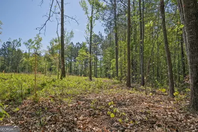 302 Goodwyne Road, Forsyth, GA 31029 - Photo 8