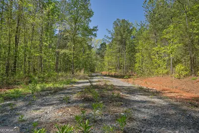 302 Goodwyne Road, Forsyth, GA 31029 - Photo 12