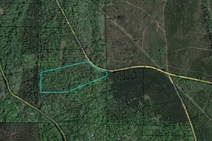 302 Goodwyne Rd, Forsyth, GA 31029 - Photo 1