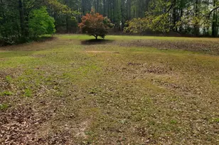 384 Enon Grove Rd, Franklin, GA 30217 - Photo 26