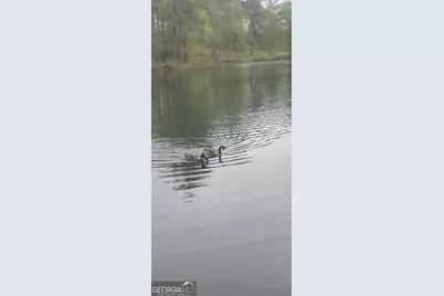 384 Enon Grove Road, Franklin, GA 30217 - Photo 14