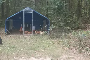 384 Enon Grove Rd, Franklin, GA 30217 - Photo 76