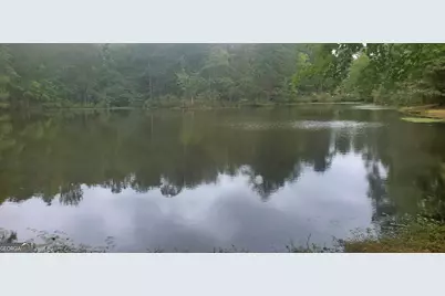 384 Enon Grove Road, Franklin, GA 30217 - Photo 12