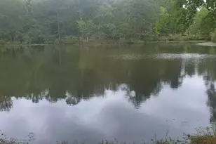 384 Enon Grove Rd, Franklin, GA 30217 - Photo 12