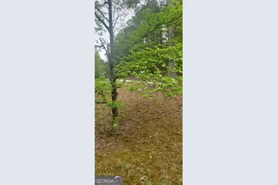 384 Enon Grove Road, Franklin, GA 30217 - Photo 98