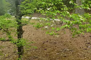 384 Enon Grove Rd, Franklin, GA 30217 - Photo 98