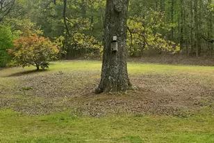 384 Enon Grove Rd, Franklin, GA 30217 - Photo 28