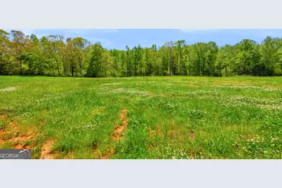 0 Gooseneck Road, Eastanollee, GA 30538 - Photo 8
