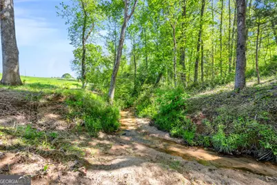 0 Gooseneck Road, Eastanollee, GA 30538 - Photo 6