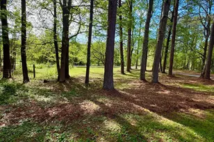 1177 Bob Smith Rd, Sharpsburg, GA 30277 - Photo 56