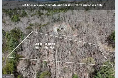Lot 16 Pit Road, Blairsville, GA 30512 - Photo 1