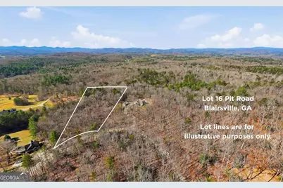Lot 16 Pit Road, Blairsville, GA 30512 - Photo 4