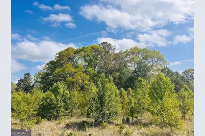 0 Collier Road #TRACT 1, Concord, GA 30206 - Photo 4