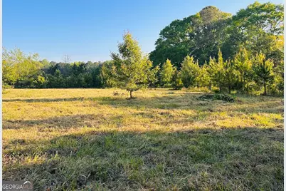 0 Collier Road #TRACT 1, Concord, GA 30206 - Photo 12