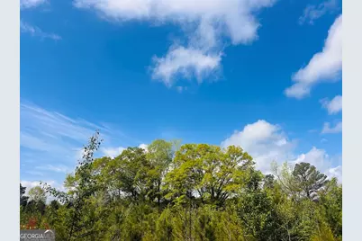 0 Collier Road #TRACT 1, Concord, GA 30206 - Photo 6