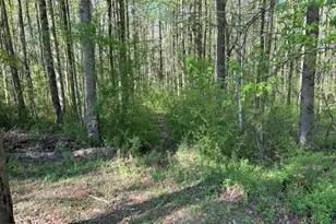 0 Glade Rocks Springs Rd, Clarkesville, GA 30523 - Photo 1