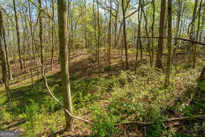 0 Glade Rocks Springs Road, Clarkesville, GA 30523 - Photo 6