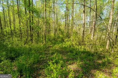 0 Glade Rocks Springs Road, Clarkesville, GA 30523 - Photo 20