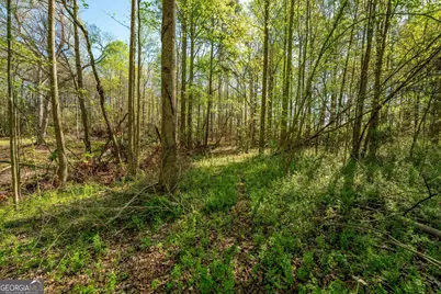0 Glade Rocks Springs Road, Clarkesville, GA 30523 - Photo 18