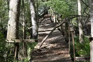 287 Shady Bluff Ln, Waynesville, GA 31566 - Photo 22