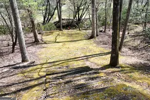 545 Laurel Cir, Blue Ridge, GA 30513 - Photo 16