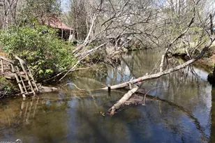 545 Laurel Cir, Blue Ridge, GA 30513 - Photo 20