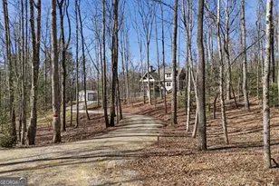 753 Pit Rd, Blairsville, GA 30512 - Photo 6