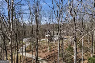 753 Pit Rd, Blairsville, GA 30512 - Photo 68