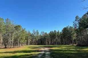 3312 Hunts Chapel Rd, Sparta, GA 31087 - Photo 78