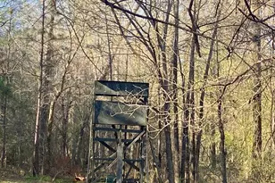 3312 Hunts Chapel Rd, Sparta, GA 31087 - Photo 34
