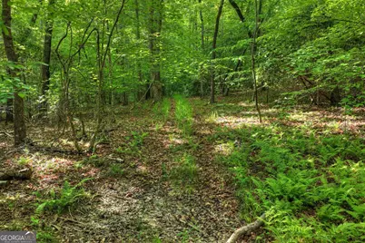 8 Ac McNelley Road, Morganton, GA 30560 - Photo 26