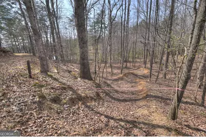 8.52 Ac McNelley Road, Morganton, GA 30560 - Photo 36