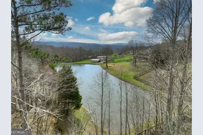 8.52 Ac McNelley Road, Morganton, GA 30560 - Photo 22