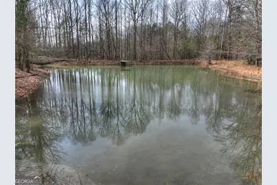 8.52 Ac McNelley Road, Morganton, GA 30560 - Photo 12