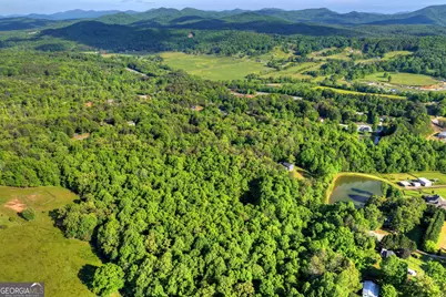 8 Ac McNelley Road, Morganton, GA 30560 - Photo 30