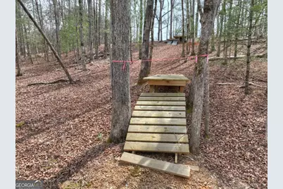 8.52 Ac McNelley Road, Morganton, GA 30560 - Photo 18
